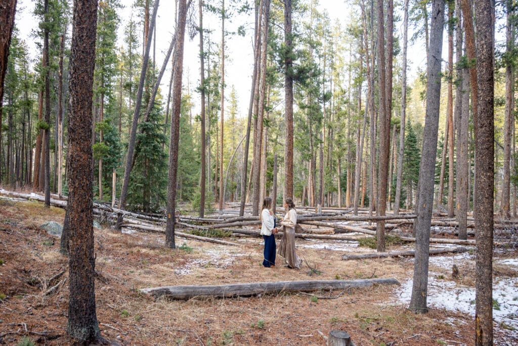 female couple reads their vows in an old growth forest in Colorado. 