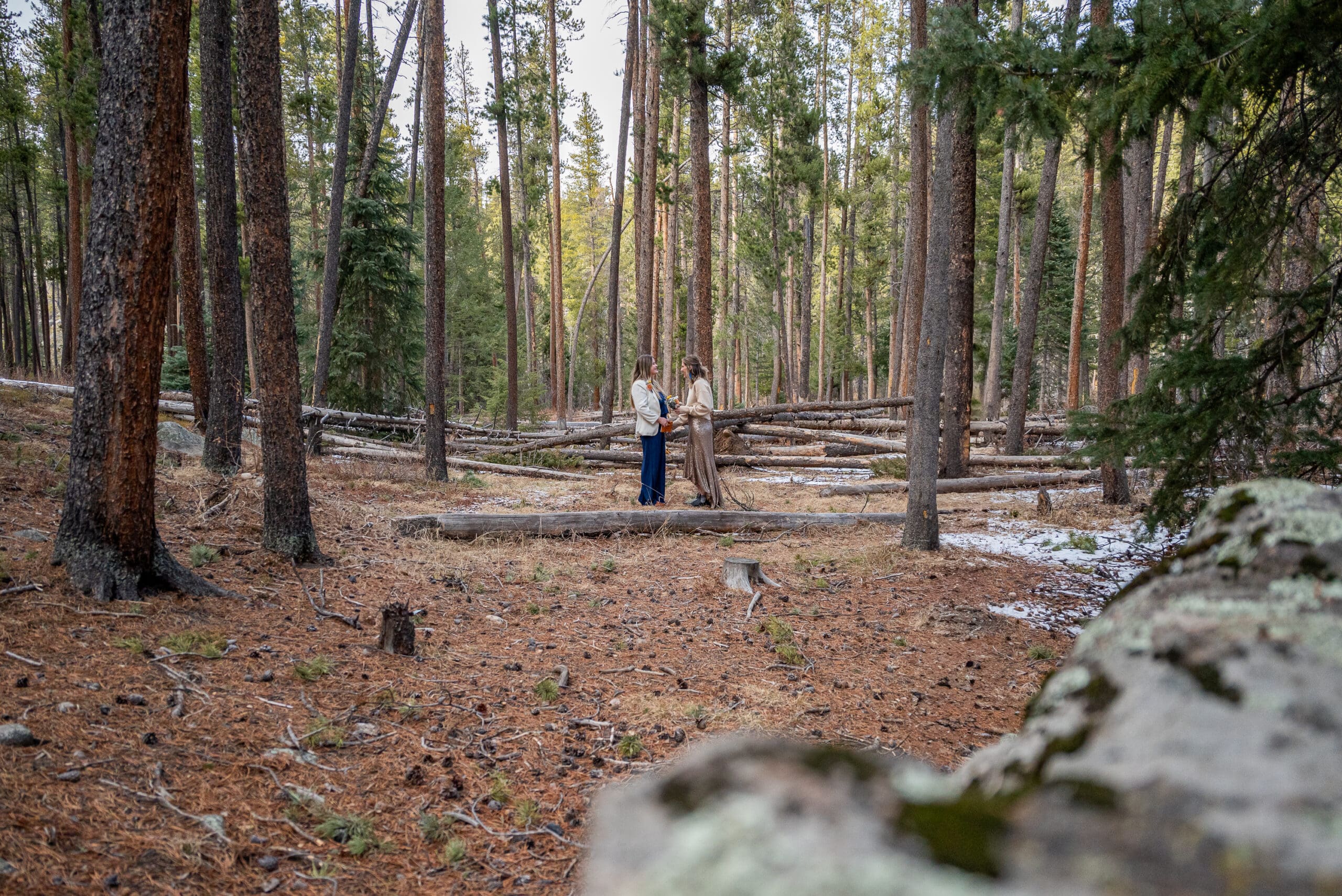 female couple stand among towering pines and read their private vows. Advice from a Colorado Bride.